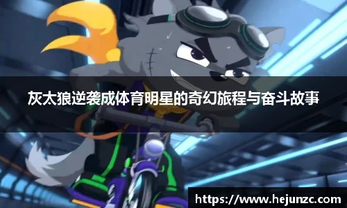 bsports登录入口