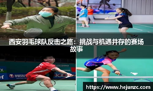 bsports官网入口