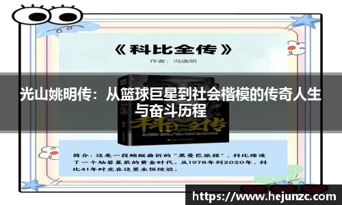 bsports登录入口