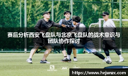 bsports登录入口