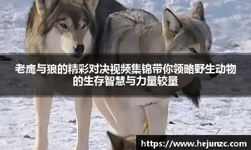 bsports登录入口