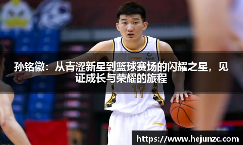 bsports登录入口