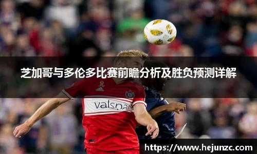 bsports登录入口
