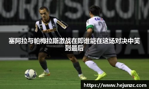 bsports官网入口